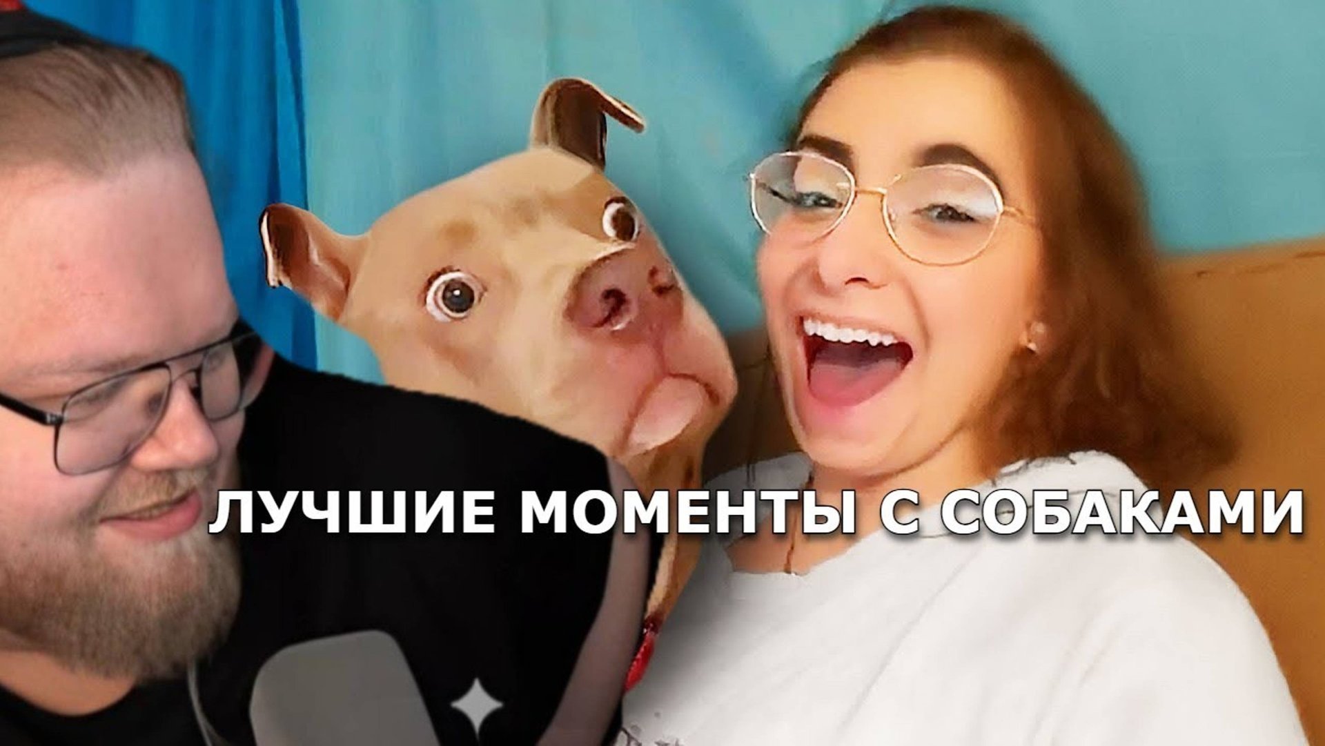 T2X2 СМОТРИТ - ПОДБОРКА СМЕШНЫХ МОМЕНТОВ С СОБАКАМИ