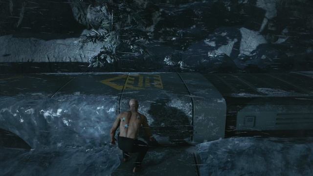 Hitman-Карпаты/Финал (Бесшумный убийца S/A)