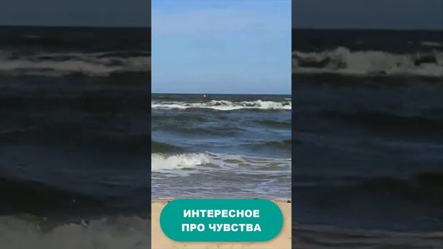 Медфакты про наши ОРГАНЫ ЧУВСТВ