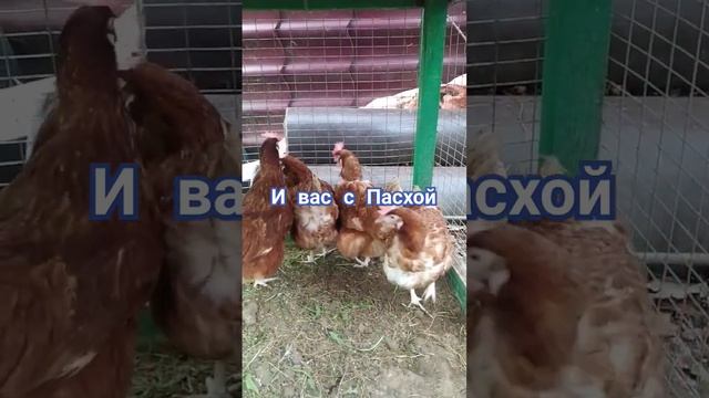 4e73131bad6eac4ad9be49d9795916be