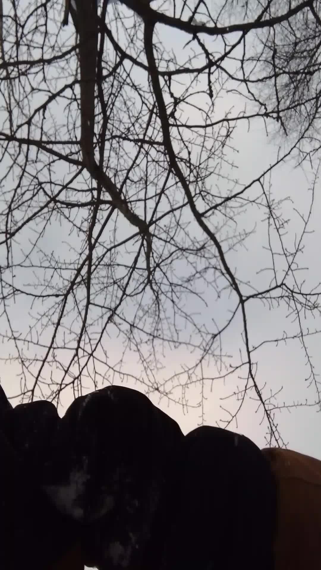 85908108baad616b54faf6e50d830593