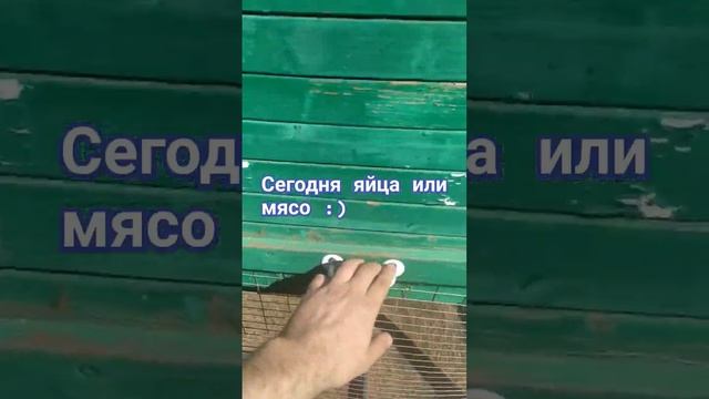 8de914bb6b38bf226a2d368abd80e033