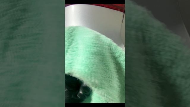 REAL MOTORS Body Shop