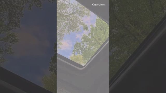 Qo'llarimdan Tut Bu Yerlardan Ketaylik Bu Shaharda Bizni Baribir Hech Qachon Tushunmaydilar Shu