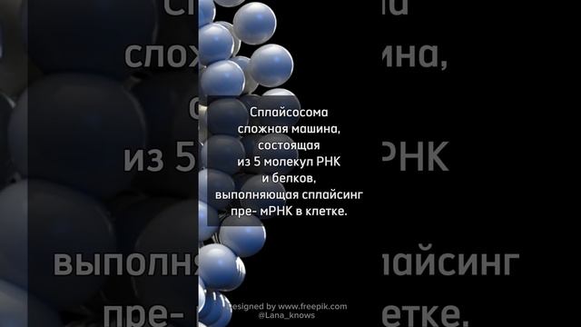 #биология #молекулярнаябиология  #биологияклетки