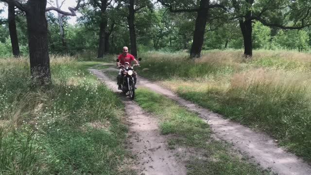 Лето и молот