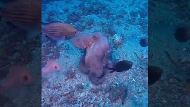 41fbc959c927c8637aeaa561d66b0502