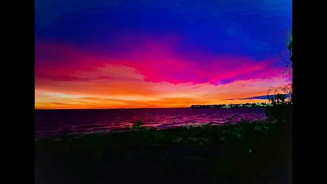 TRIP SESH [Eric Dingus X Xavier Wulf X BONES X Chris Travis]