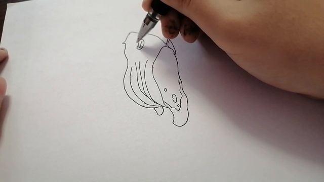Как нарисовать спокойную каракатицу