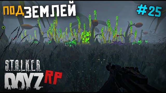 ПУТЬ ПОД ЗЕМЛЮ. DAYZ STALKER RP 25 серия (Перезалив MALAMADROS LIFE)