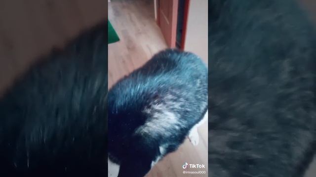 24bb6ee841ea7d1b3b04e1e33d33dc4f