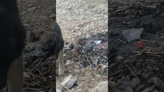 467913f920bbab7b301e9fb855feadd2