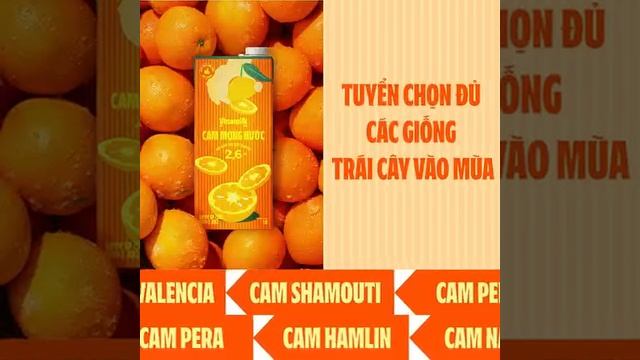 NGUYEN HO NGOC NHIEU