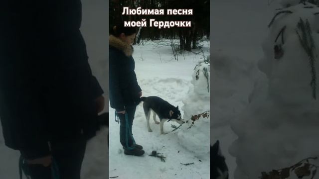 Dddc687e1c19f33634848d3694d4abda