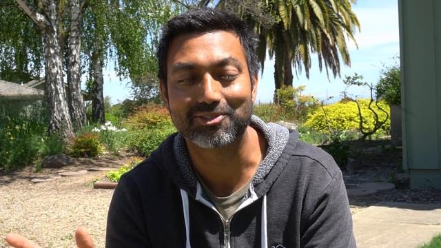 How We Caught A Honey Bee Swarm