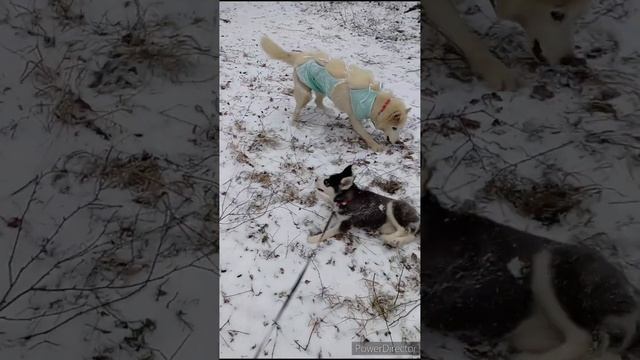 0e41f7ed04677eaa3a97176b052a720c