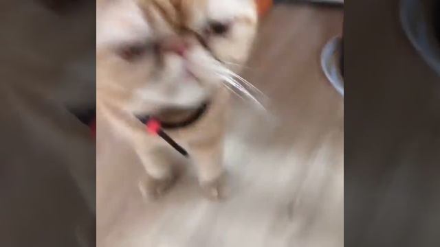 B21031d4e93e64fce16157282f7158a2