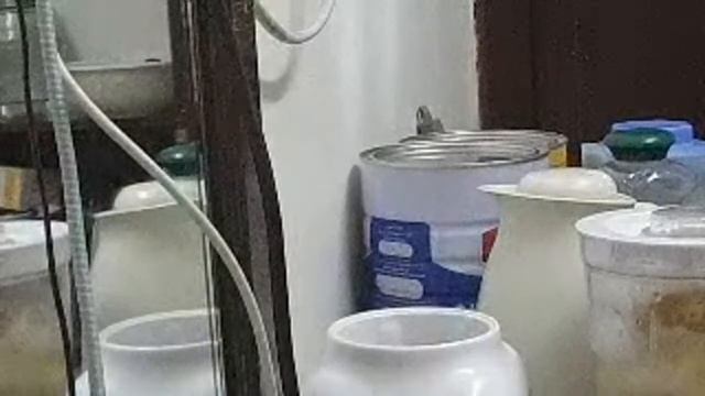 PINEAPPLE BANANA SMOOTHIE MILK SHAKE