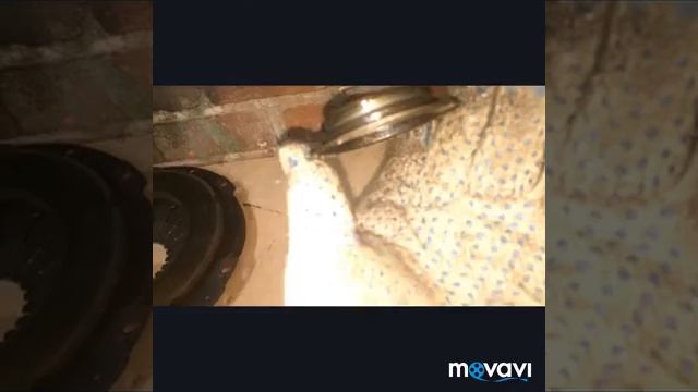 #Сцепление е 34 м50б20