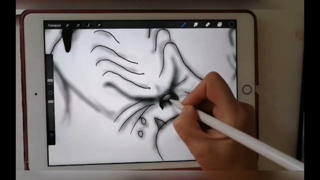 Анімація. Начерки тварин лінією. 6Клас Тема1