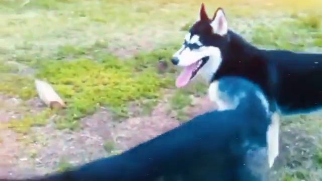 559cbd42dbd4b50b750918b1b707de29