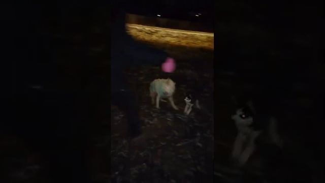 Ce1eaab000a15b1391c59758430e06ff