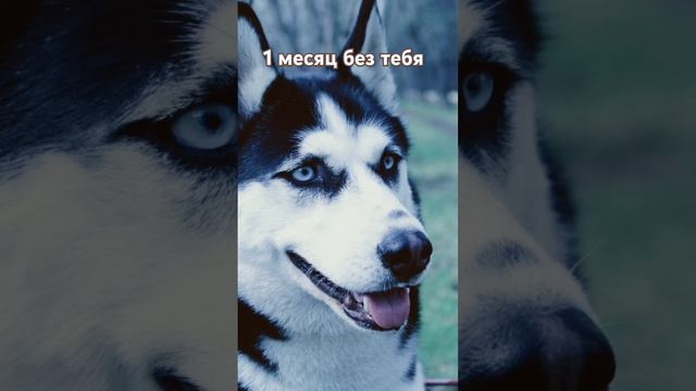 1f09c2c8e473f996bc29747f86708a00