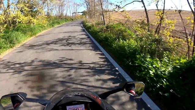 APRILIA RS 660 (2020) - RECENSIONE | REVIEW [ENGLISH SUBTITLES]