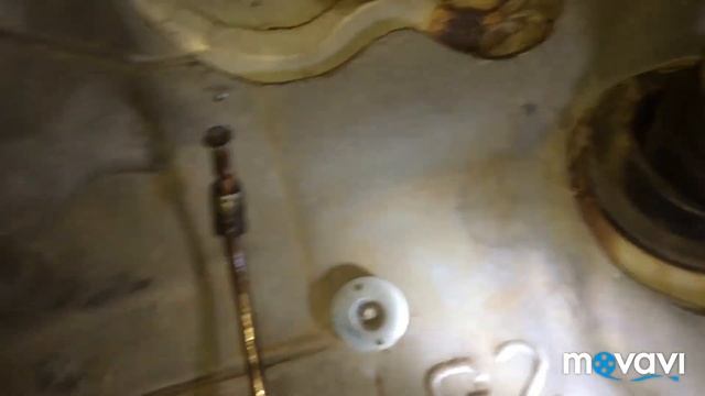 # баварская Ляля BMW