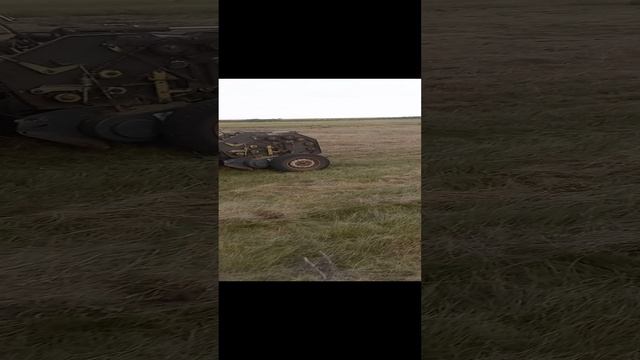 Сенокос 2024