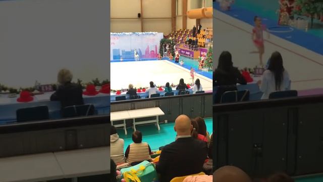 Gimnastika