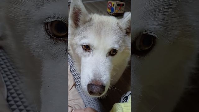 B0ecc225933d3acec75af40c6959486b