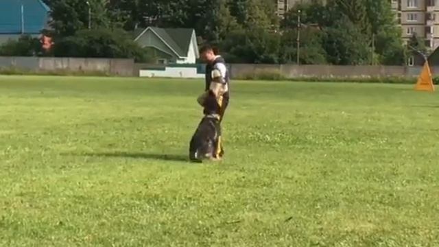 D865b2ac628fcd49bf25947477d48288