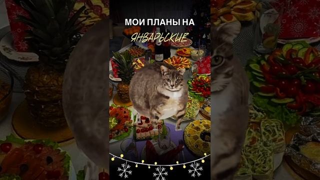 5b672fa35a936e760283560cff724a4e