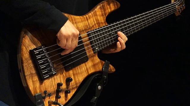Ambient Bass Solo With EHX Freeze - ‘Three Scenes In A Dream'