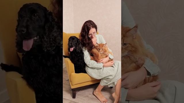 Dog Health,healthy Dog Food,healthy Homemade Dog Food,healthy Home Made Dog December 31, 2021