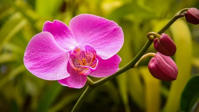 Забыв ключи от машины, женщина вернулась домой. Тихо войдя в квартиру, она услышала странный...