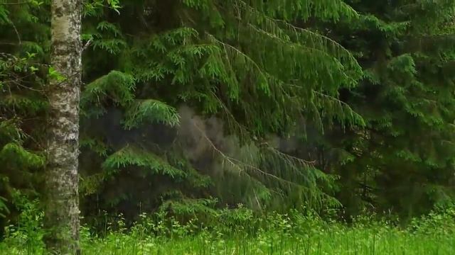 Как через сон понять что на вас идёт магическая атака? Сны говорящие о магическом нападении