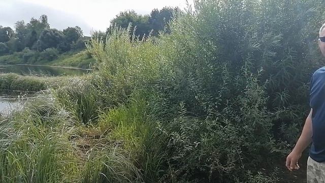 Красота Западной Двины