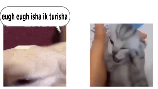 Turi Ip Ip Ip Vs Nekalakininahappenenawiwanatin (Epic Rap Battle)