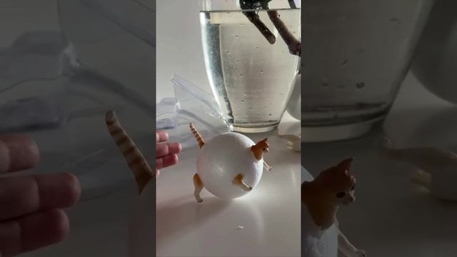 75991d82b0bb73b7c5176cda65a81460