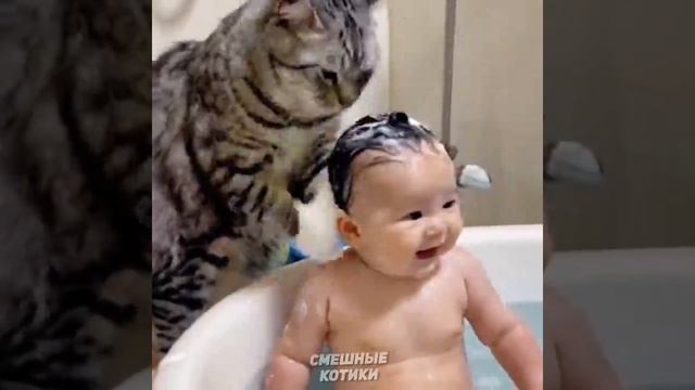 4d07fcadb5d95c963c49768990fdf0bf