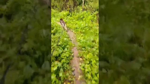 01c9131183642b76653390c7fb7688e7