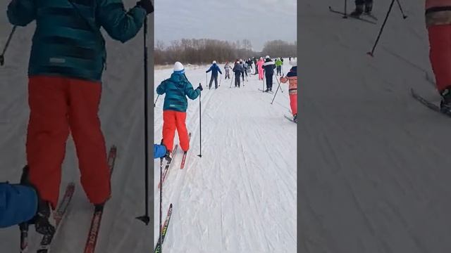 Еду на лыжах