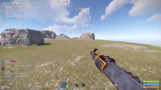 Темперамент Рис