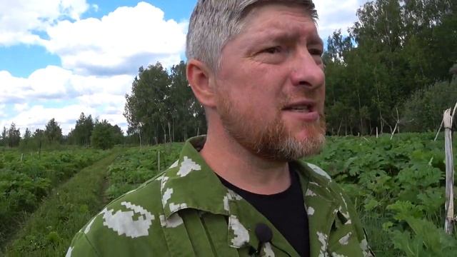 ПРИЧИНЫ БОЛЕЗНЕЙ. Их всего лишь ТРИ.