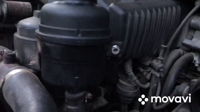 # баварская Ляля BMW