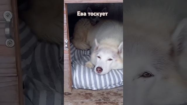 4dafb68639e8f587585f9be1e39b7b0a