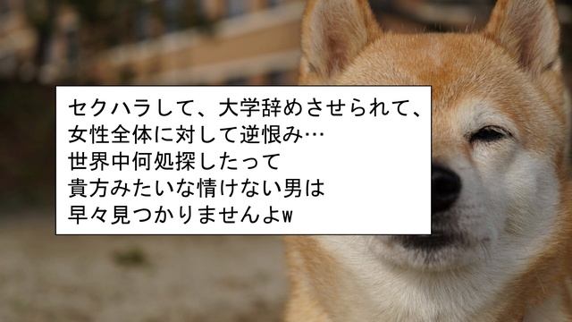【報告者キチ】JKに道を聞いて道中セクハラするのが趣味【2chゆっくり解説】