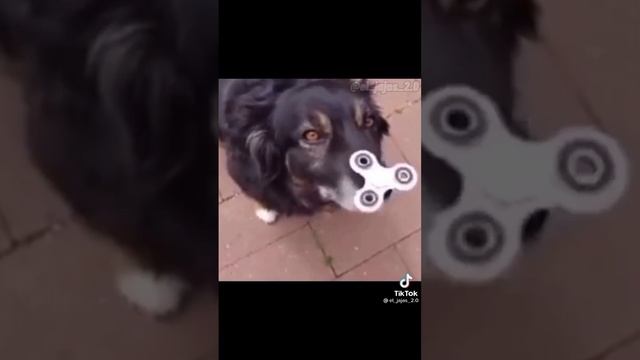 мем который я смонтировал